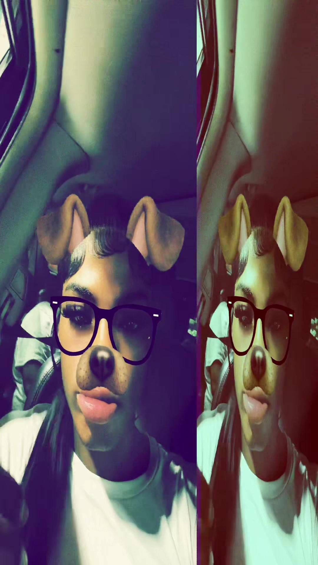 @domoocbfw