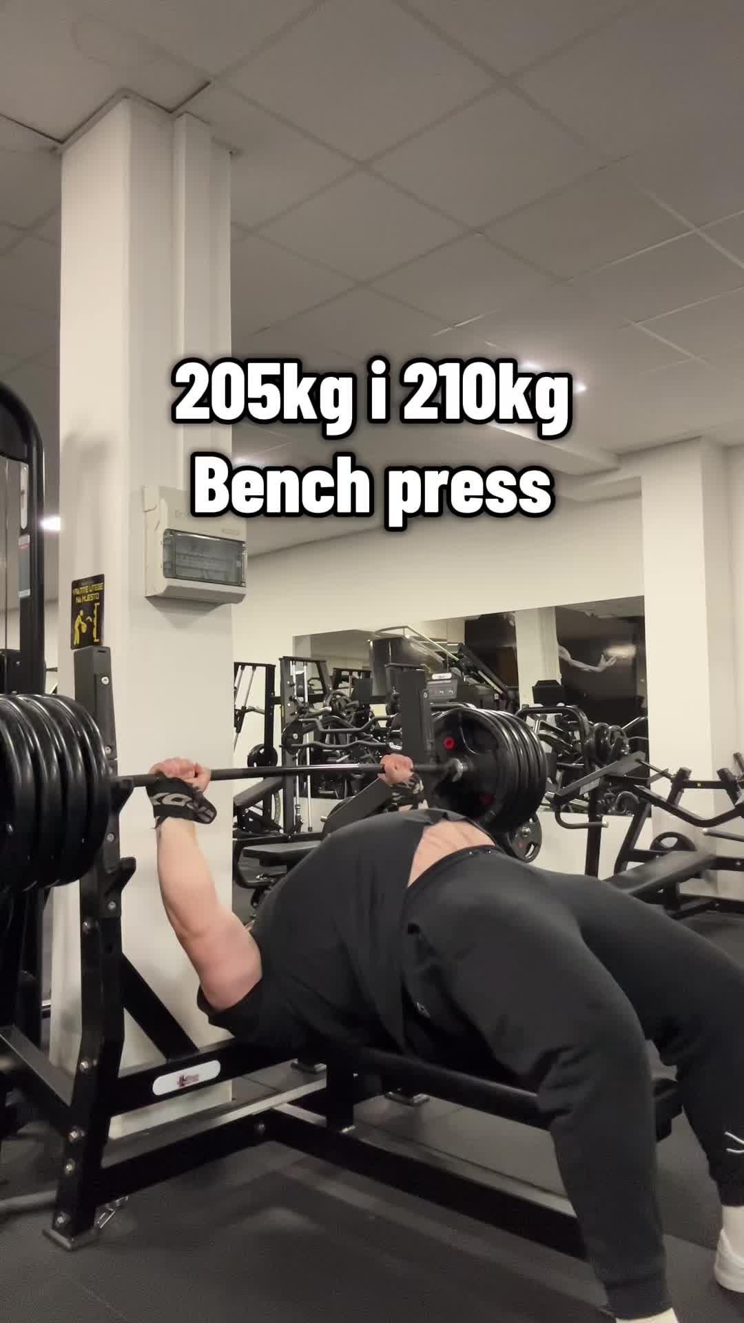 @BenchedByDino
