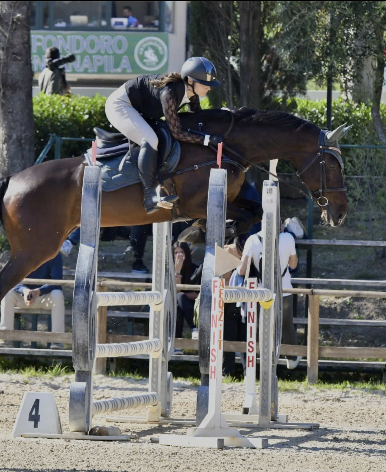 @Fabiana Tuccillo🇮🇹🐴🫀