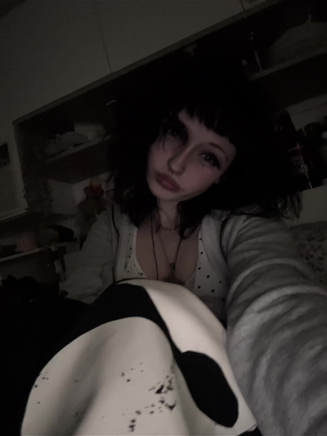 @zo݁ᛪ༙݁ia