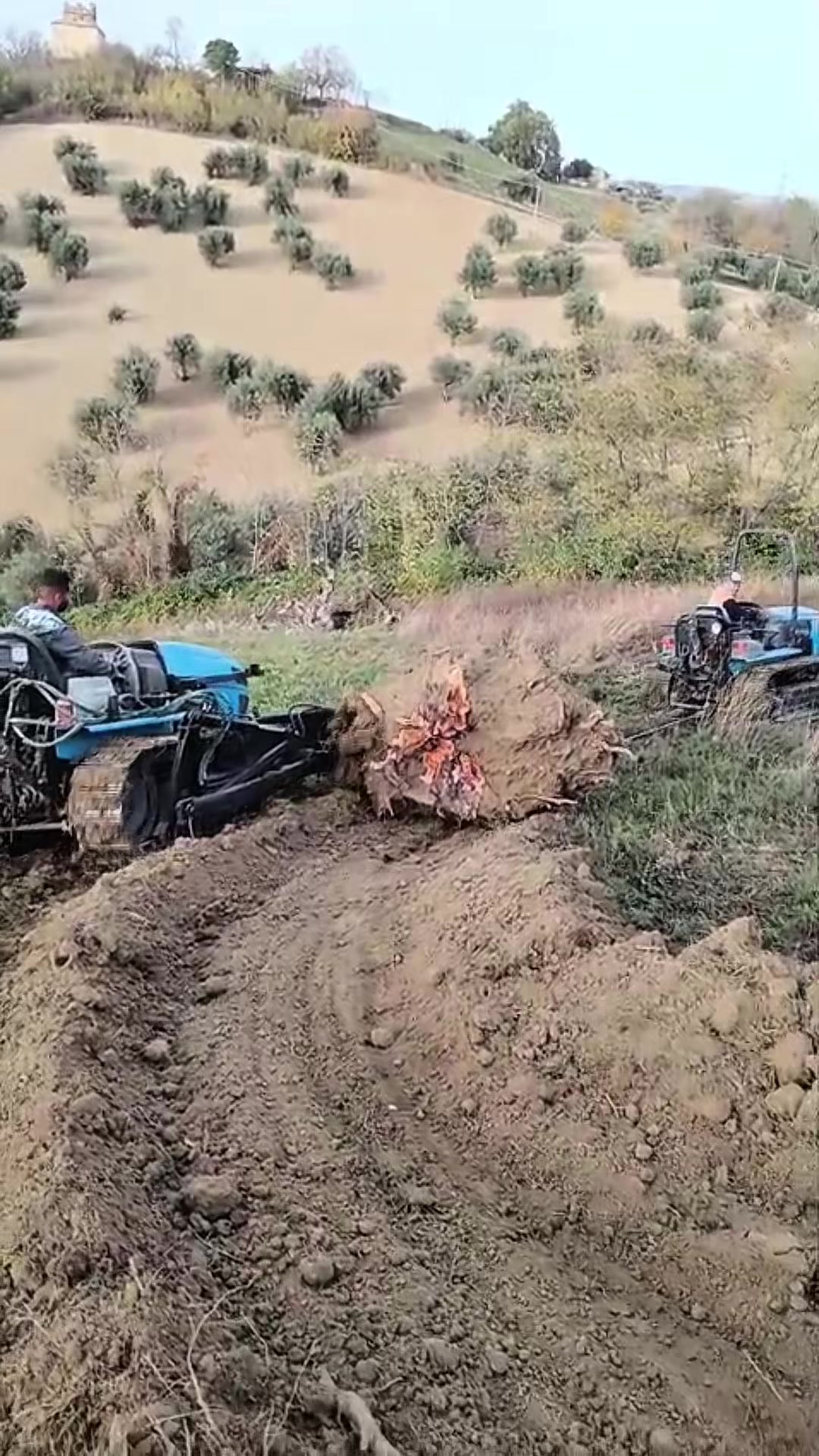 @🚜agromeccanica Petrucci🚜