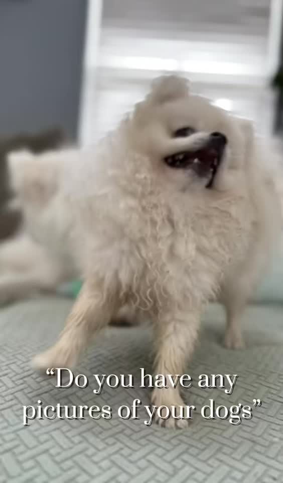@doougsquad