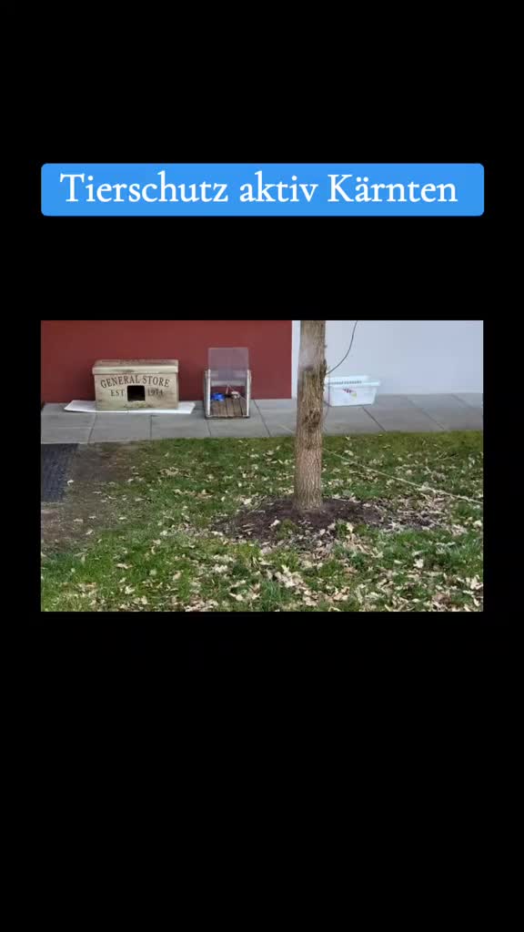 @tierschutz_aktivkaernten