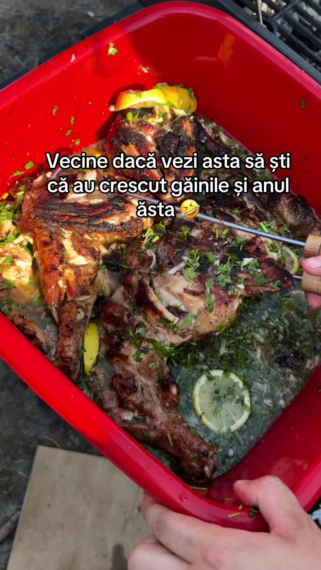 @𝓐𝓵𝓮