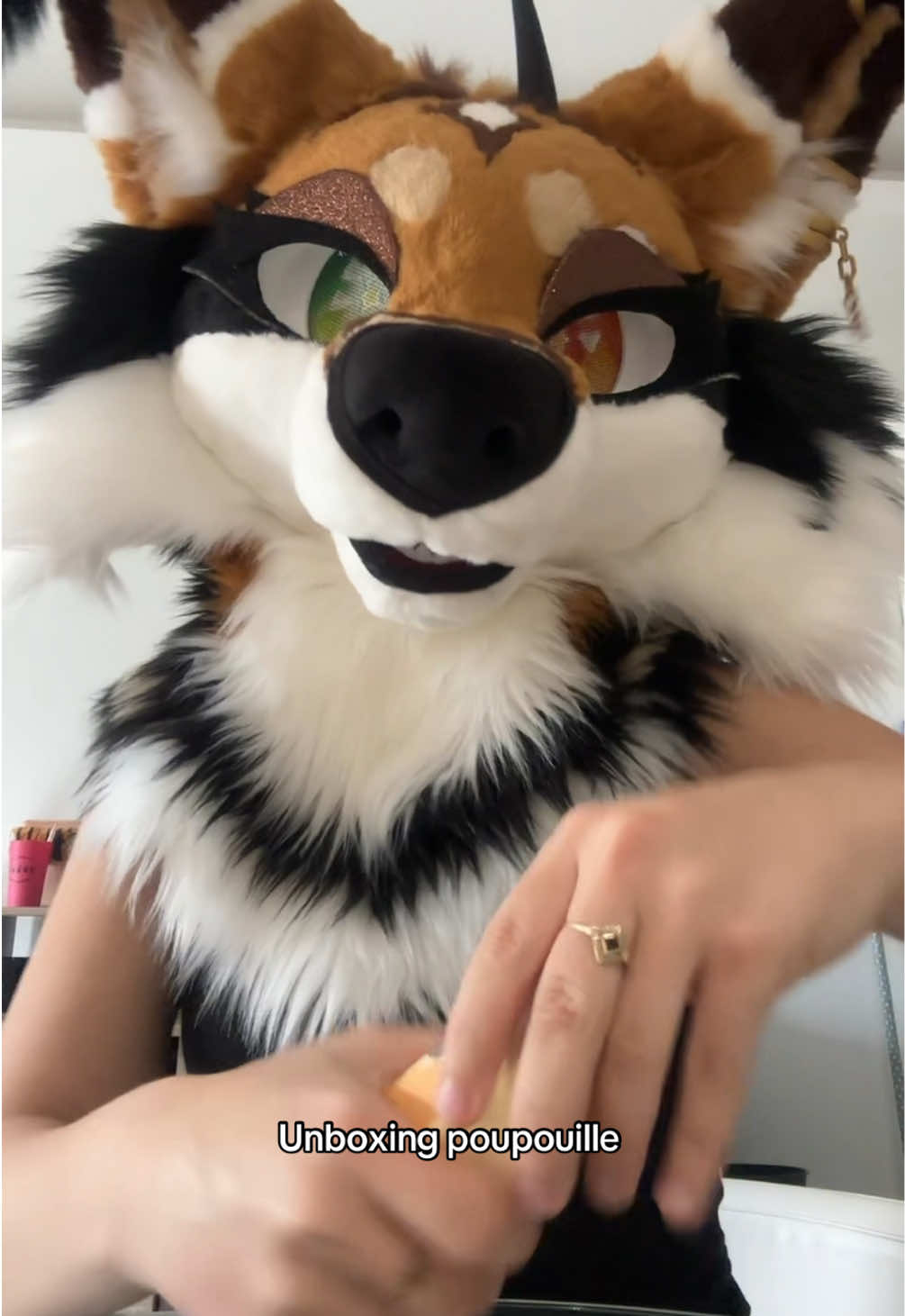 @Gagouye