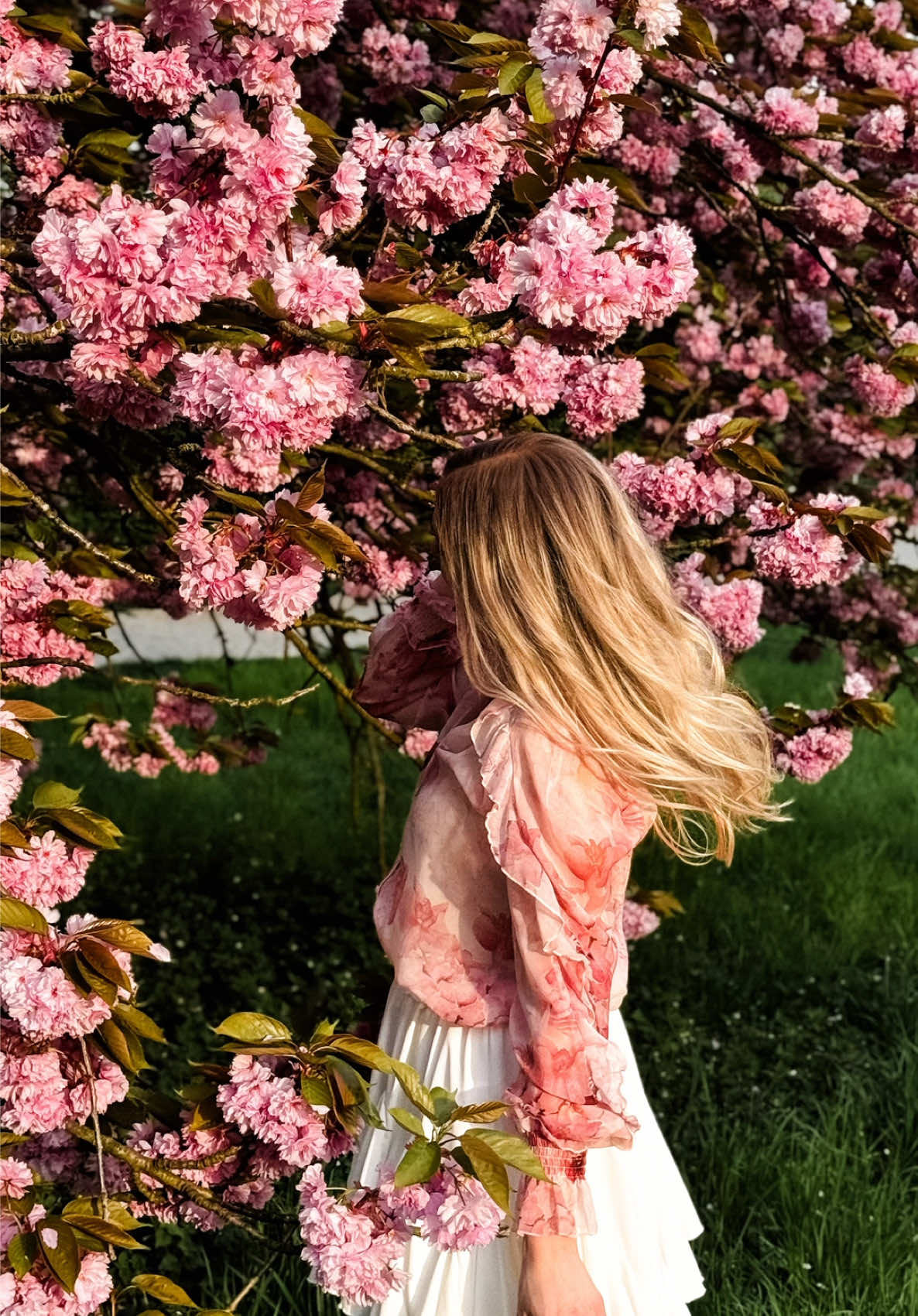 @emi.creative_lens
