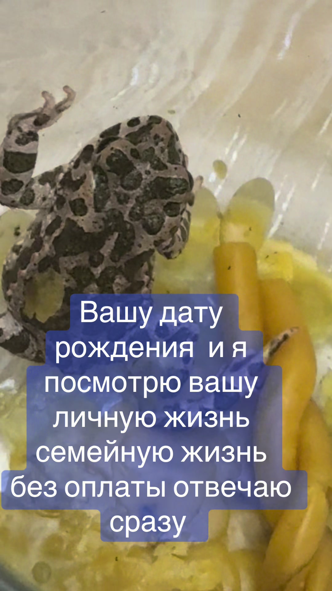 @ясновидящая бабушка Рая