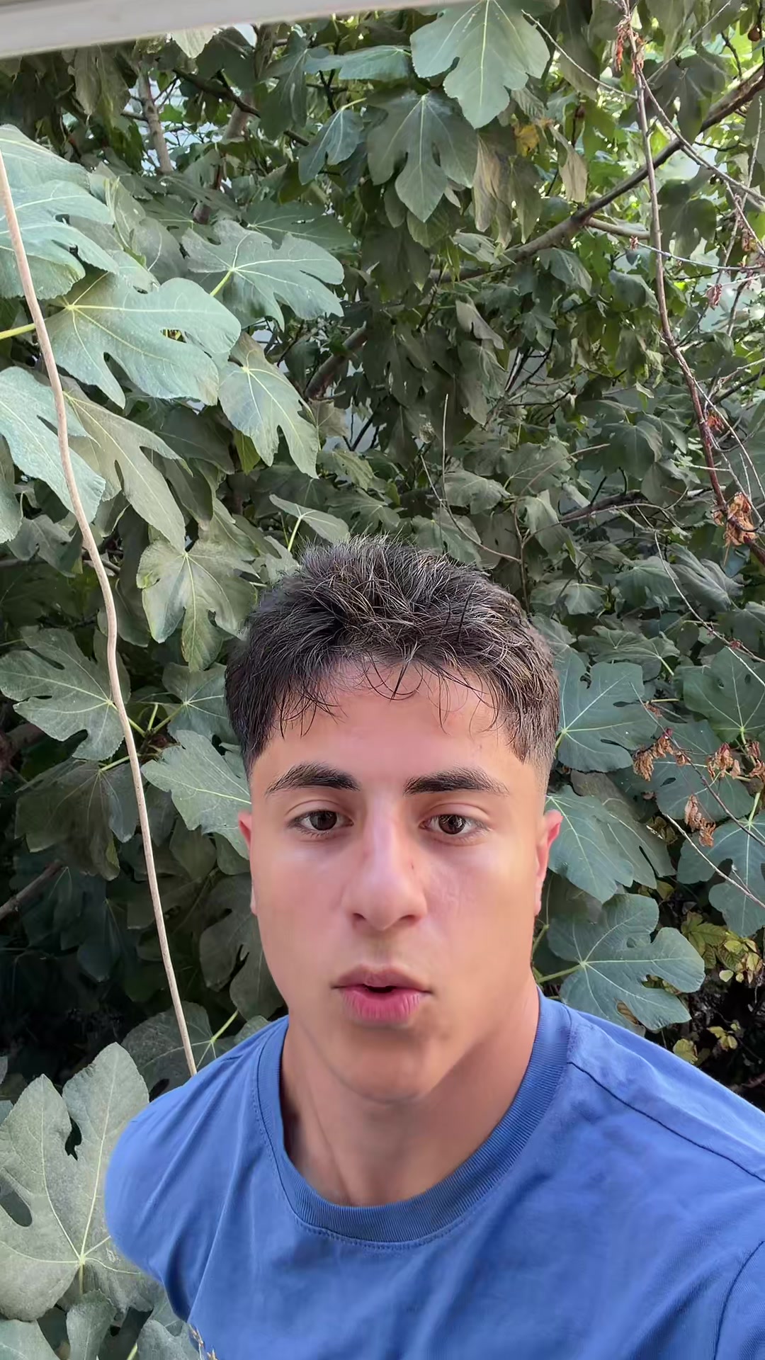 @Davut Bozkaya