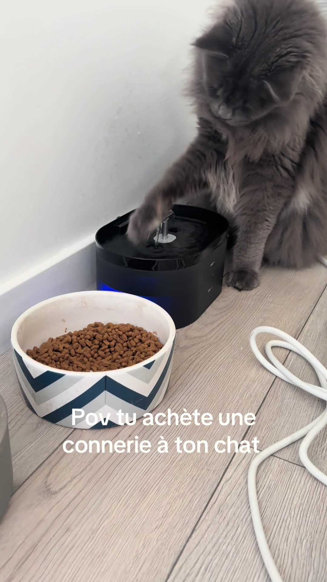 @L’insociable 🖤