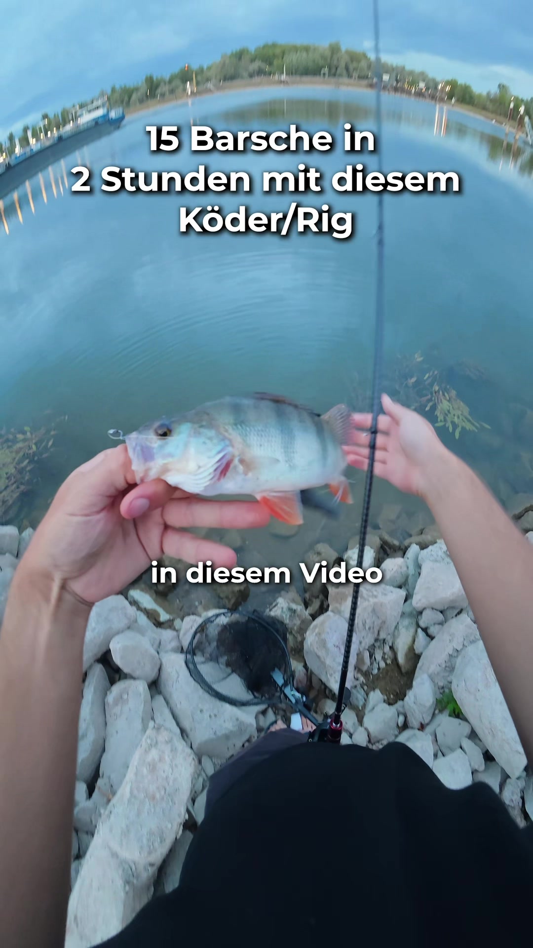 @Gian Fishing