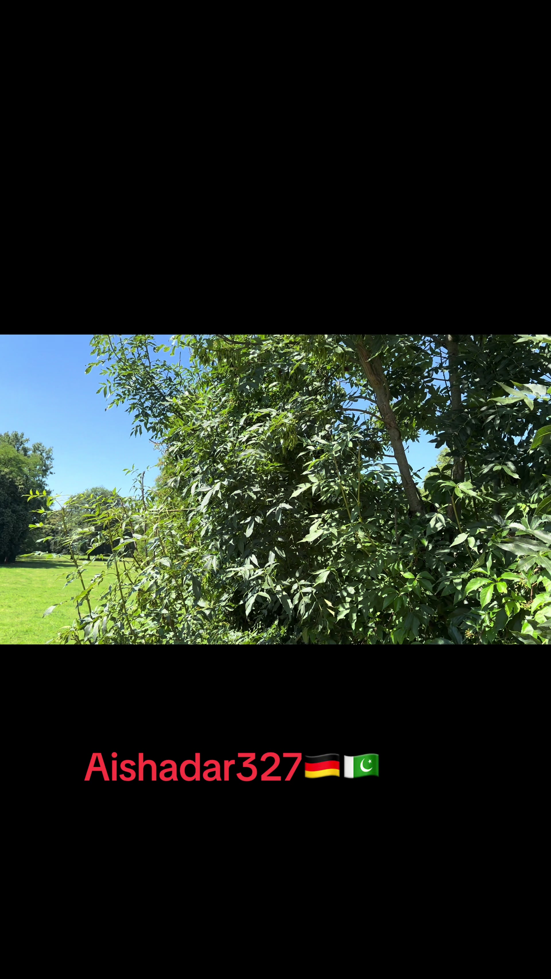 @Aishadar327🇩🇪🇵🇰