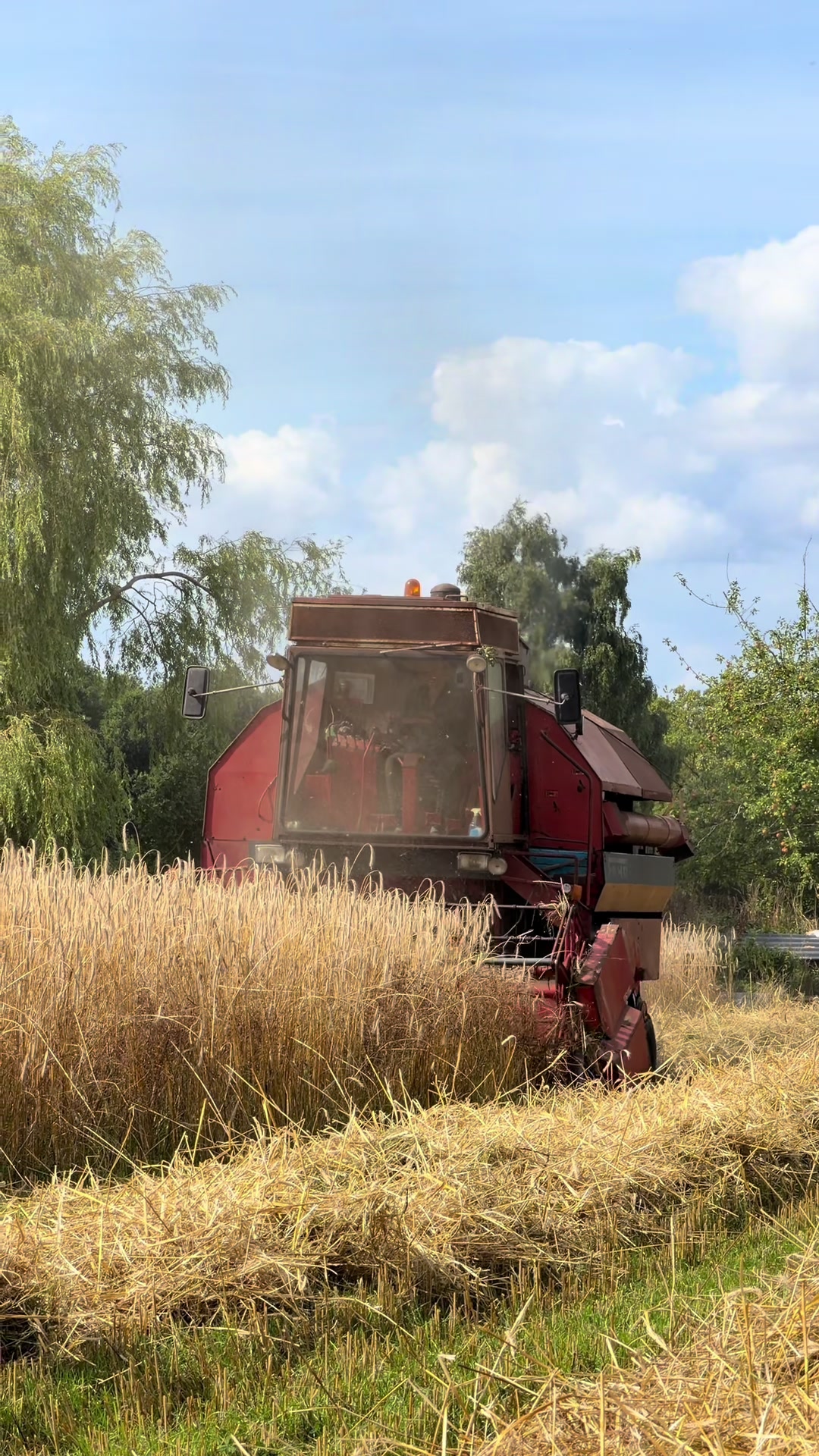 @Luca 🚜