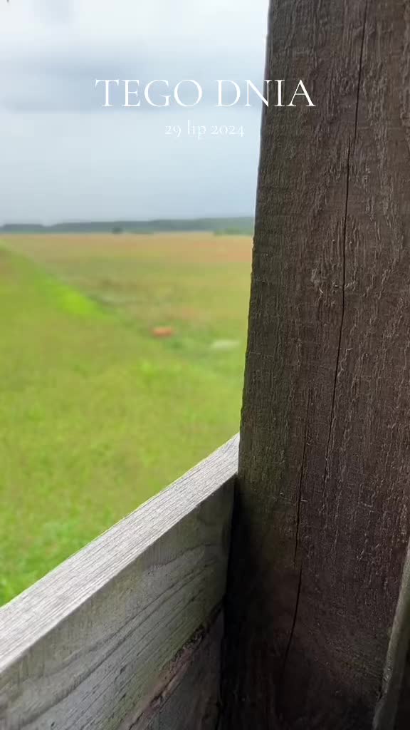 @The Hunter&rsquo;s Eye