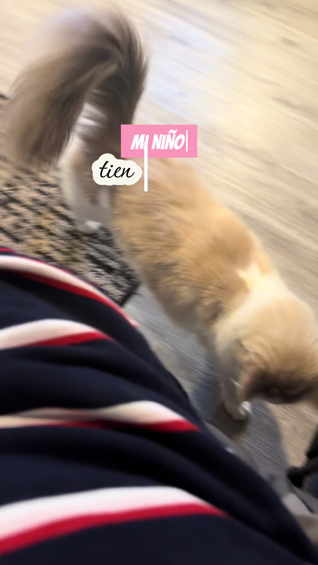 @Miau Creations