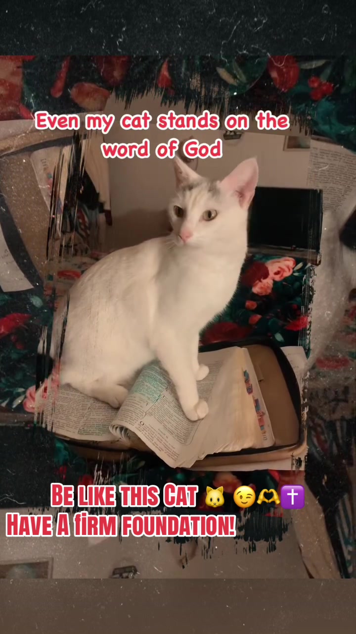 @JESUS IS KING✝️