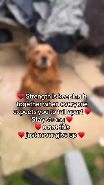 @Happy buddy