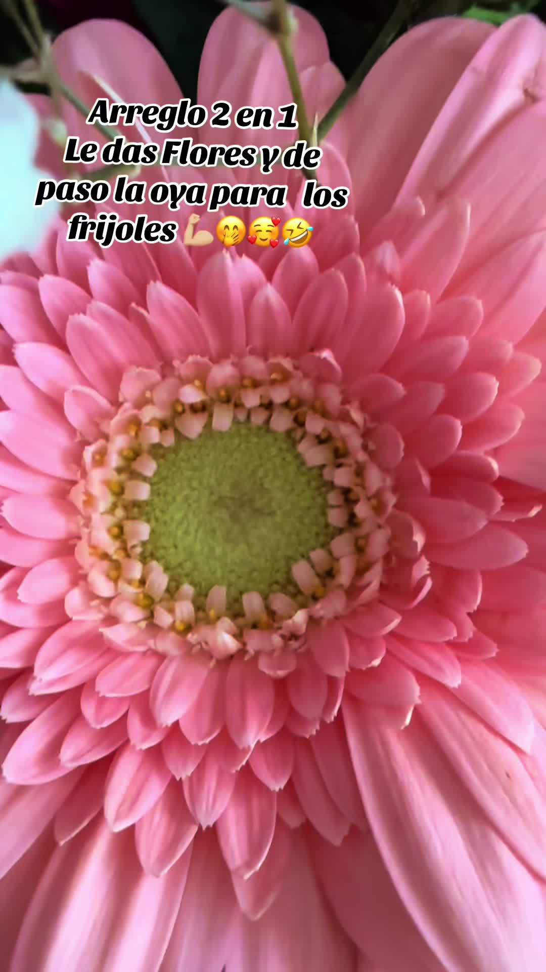 @Angie Ruiz