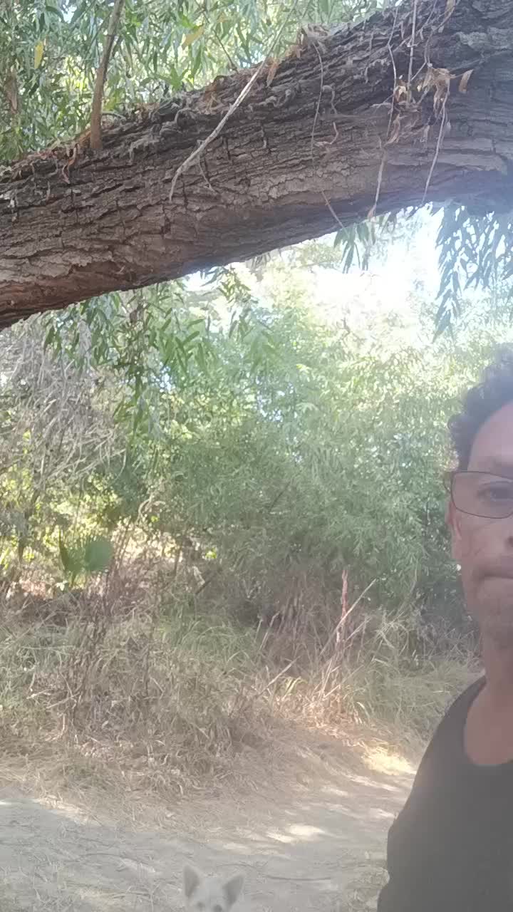 @Ruben Perez