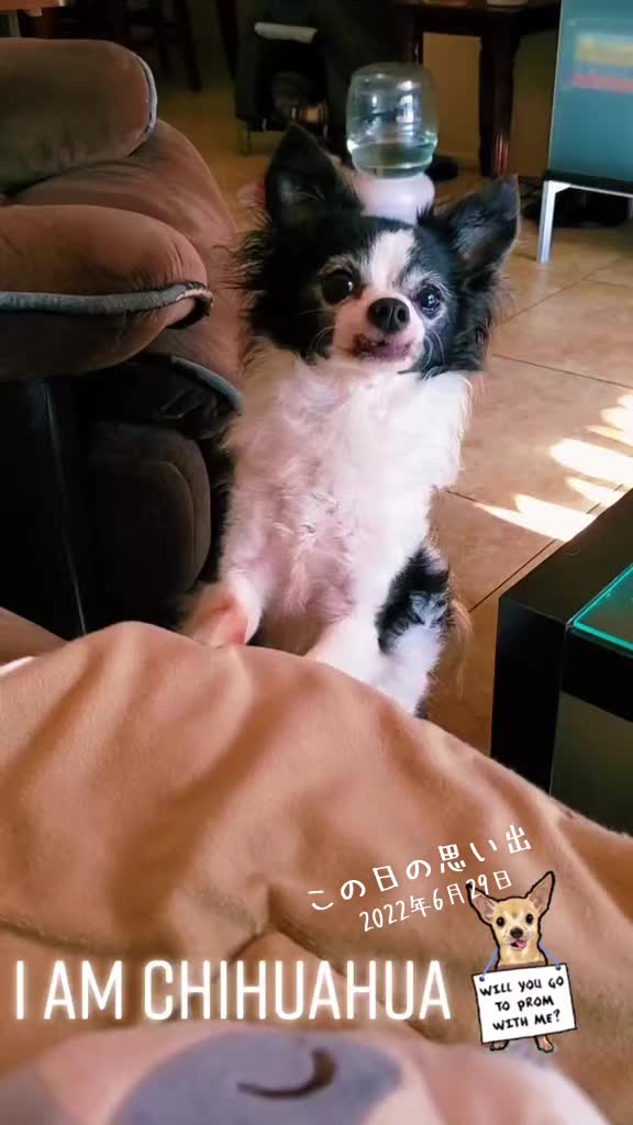 @RIEJ💘(ΦωΦ)🐈️🐾👑