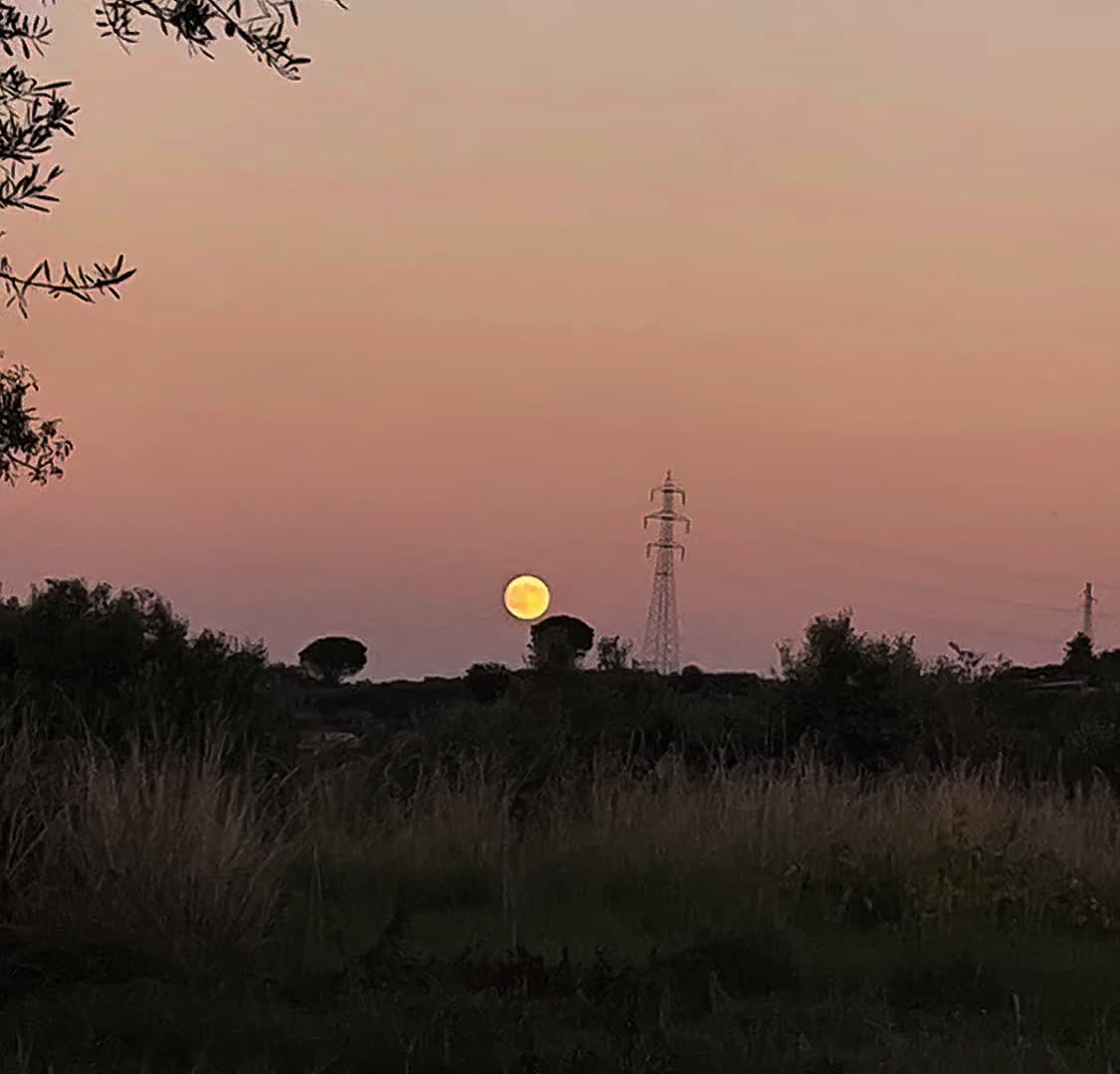 @𝐆 𝐈 𝐔 𝐋 𝐈 𝐀 🤎