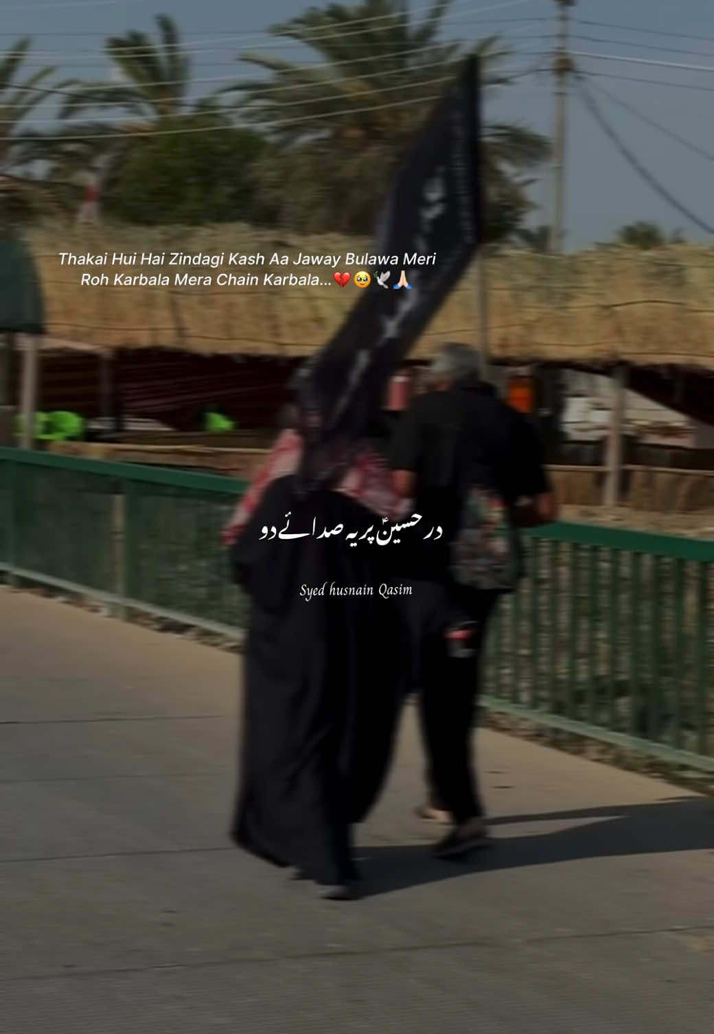@~!;🤎✨سید زادہ