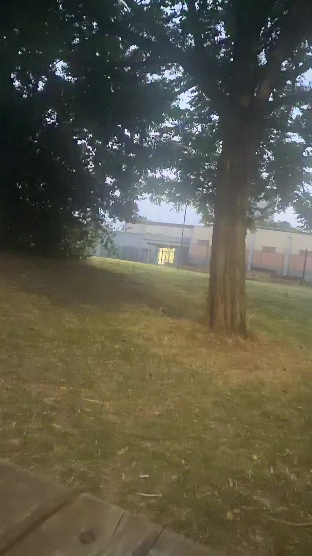 @AiraRana.Germany