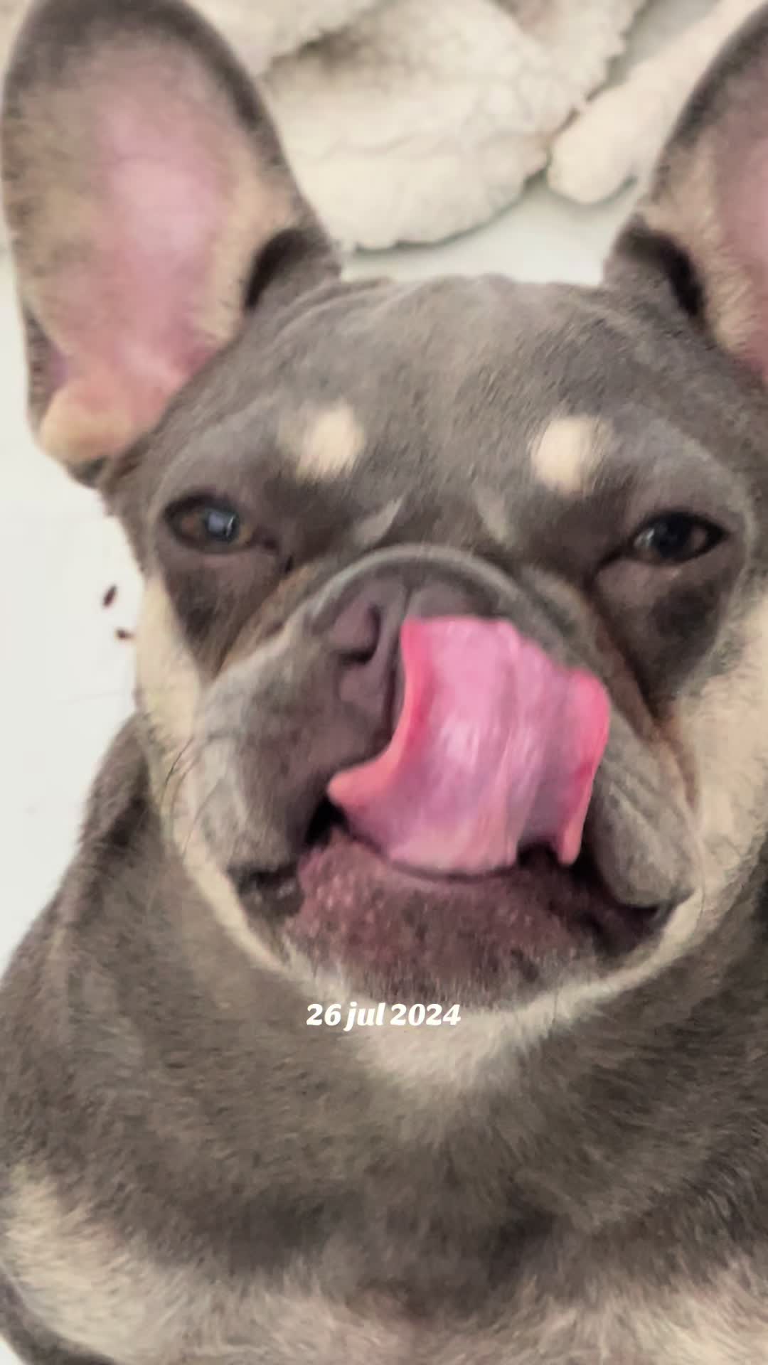 @Cirita