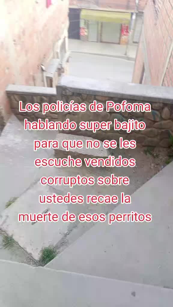 @Do&ntilde;a Se&ntilde;ora D
