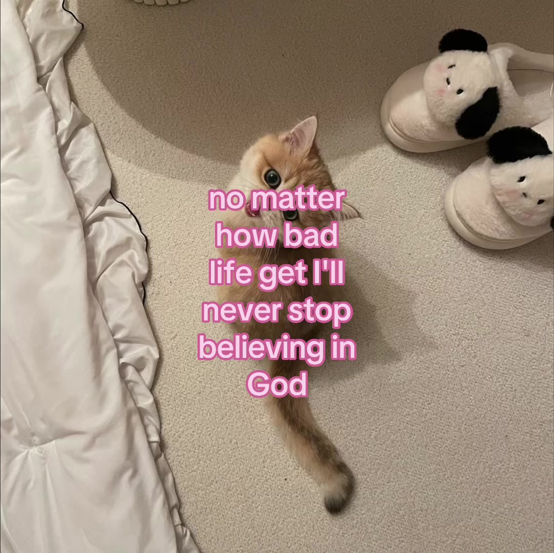 @deep.meow