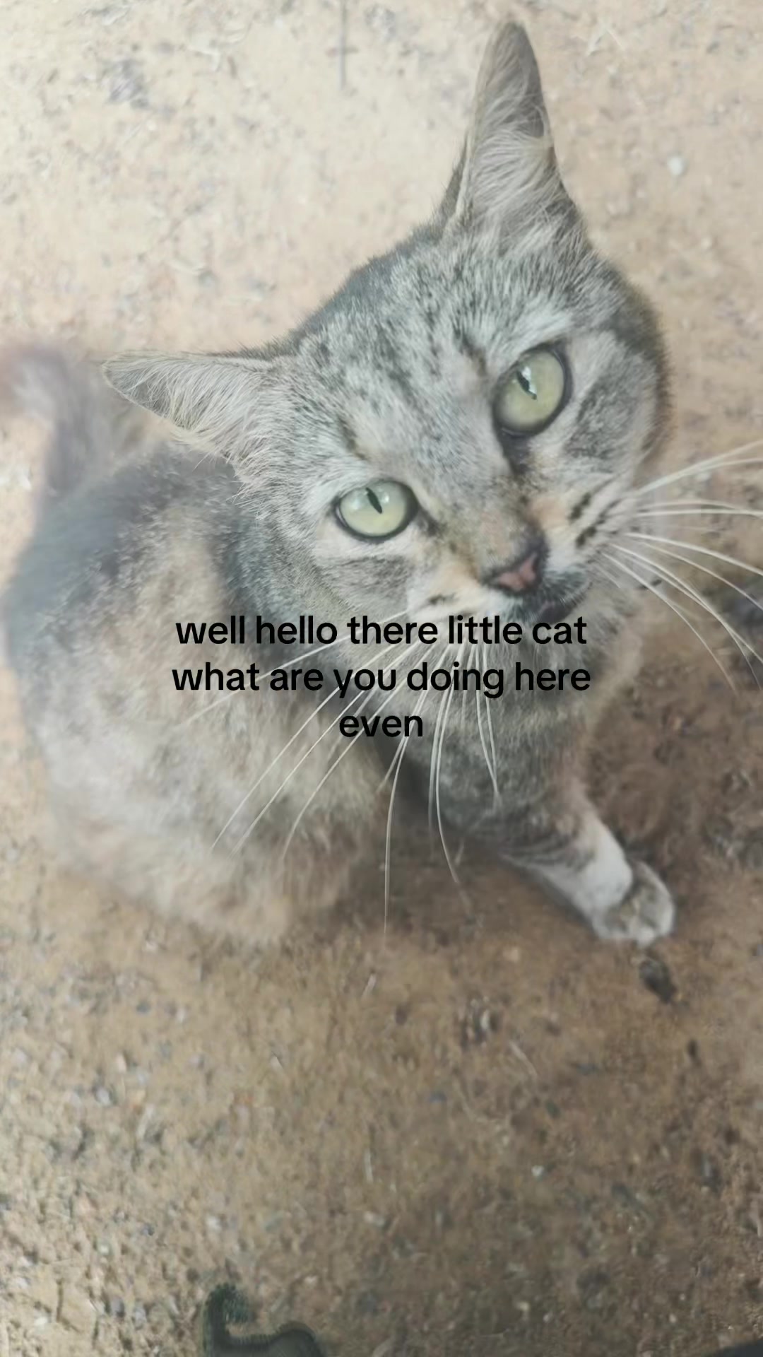 @️