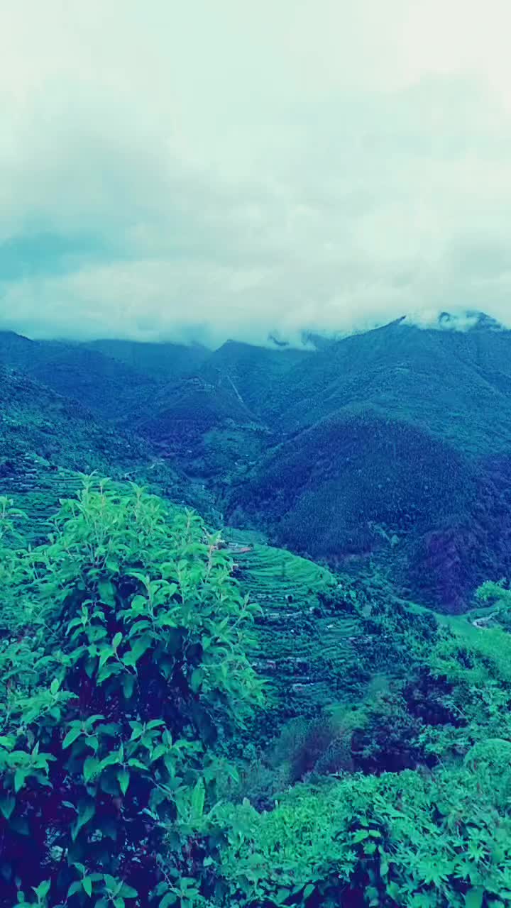 @Sujal Thakuri