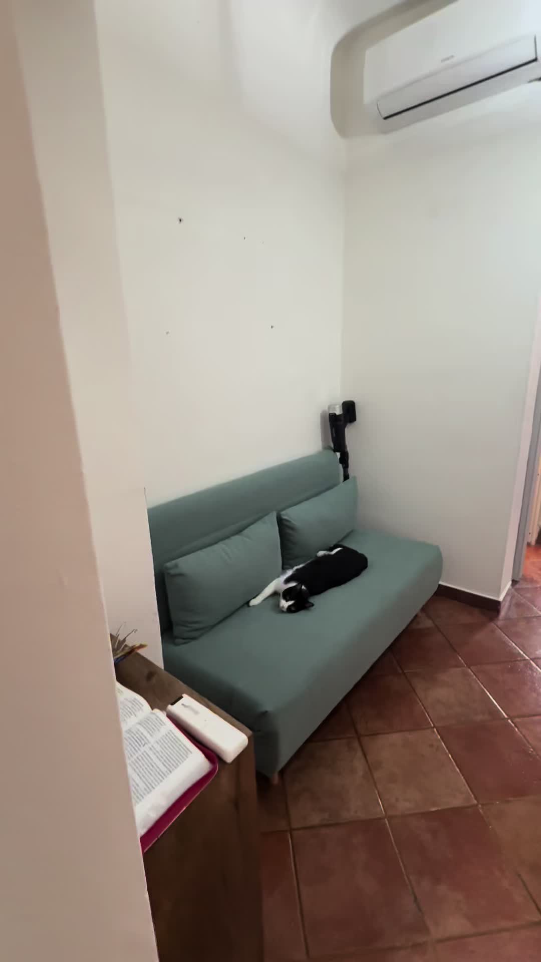 @Paola Escalante