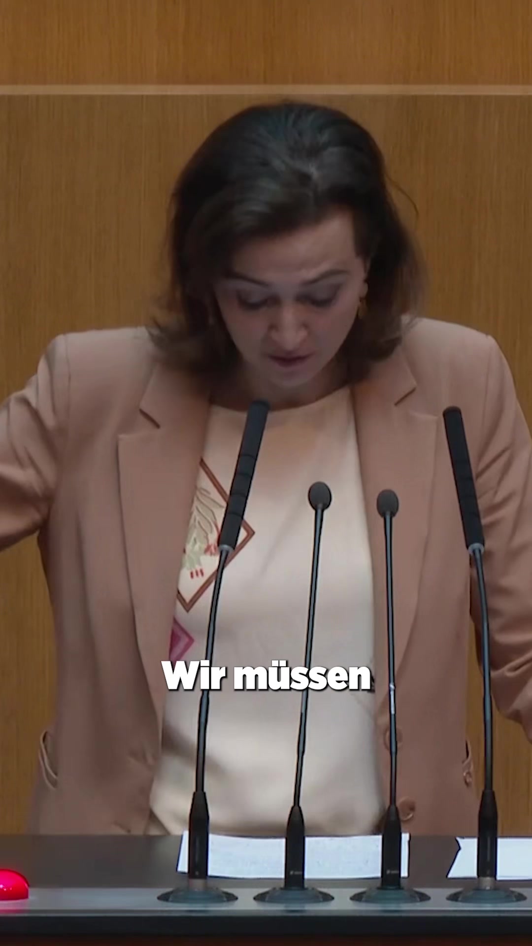 @Alma Zadić