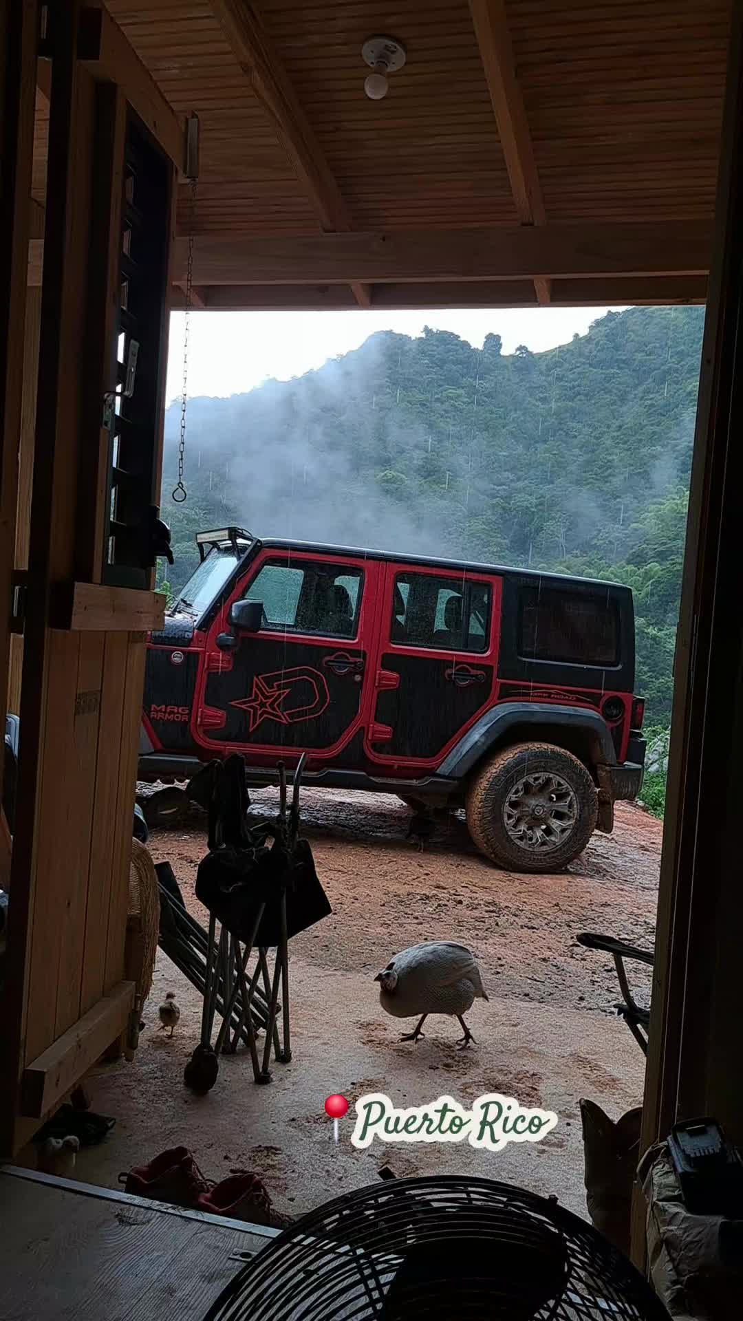@Nina 🇵🇷🇲🇽