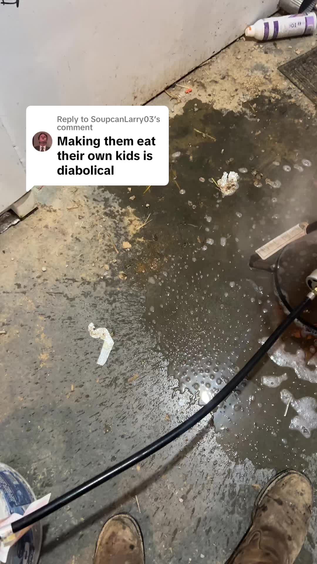 @TSears