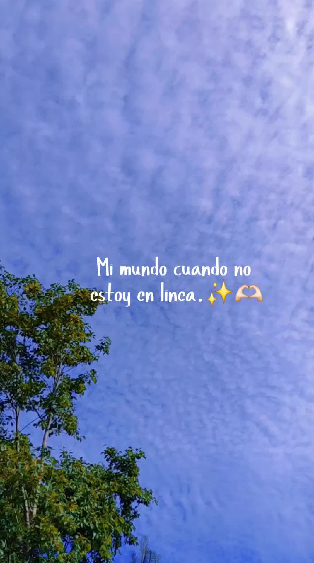 @>😇T.Y🦋Roquel T🥰<