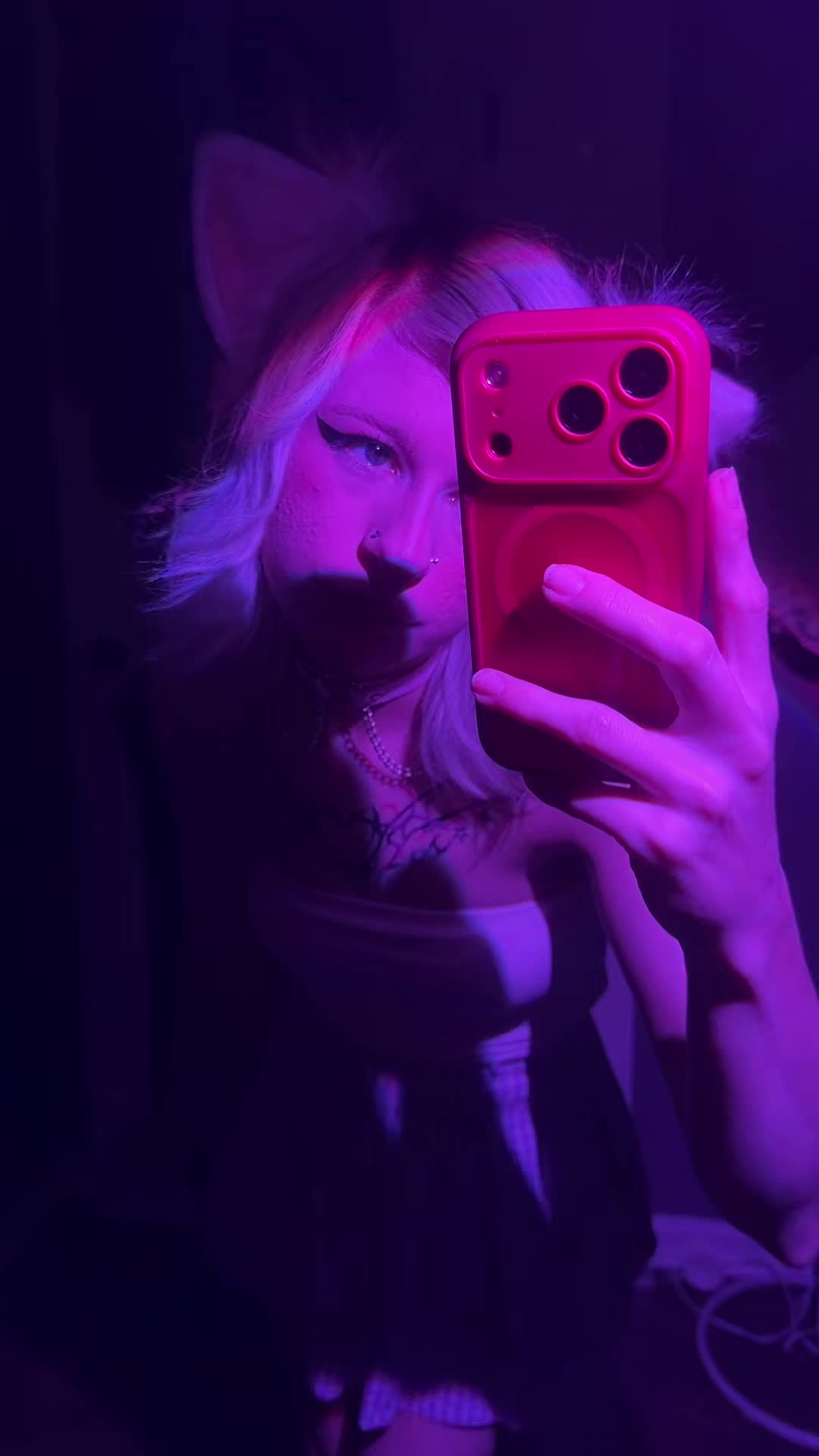 @megs.pie22