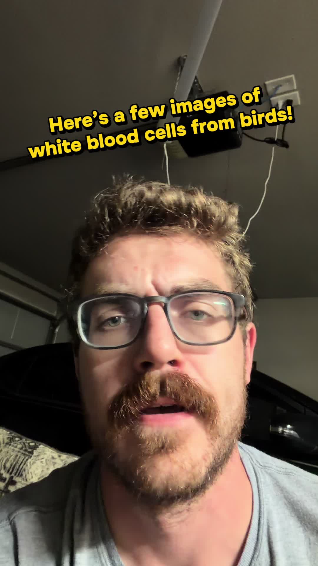 @KeepItScruffy PhD