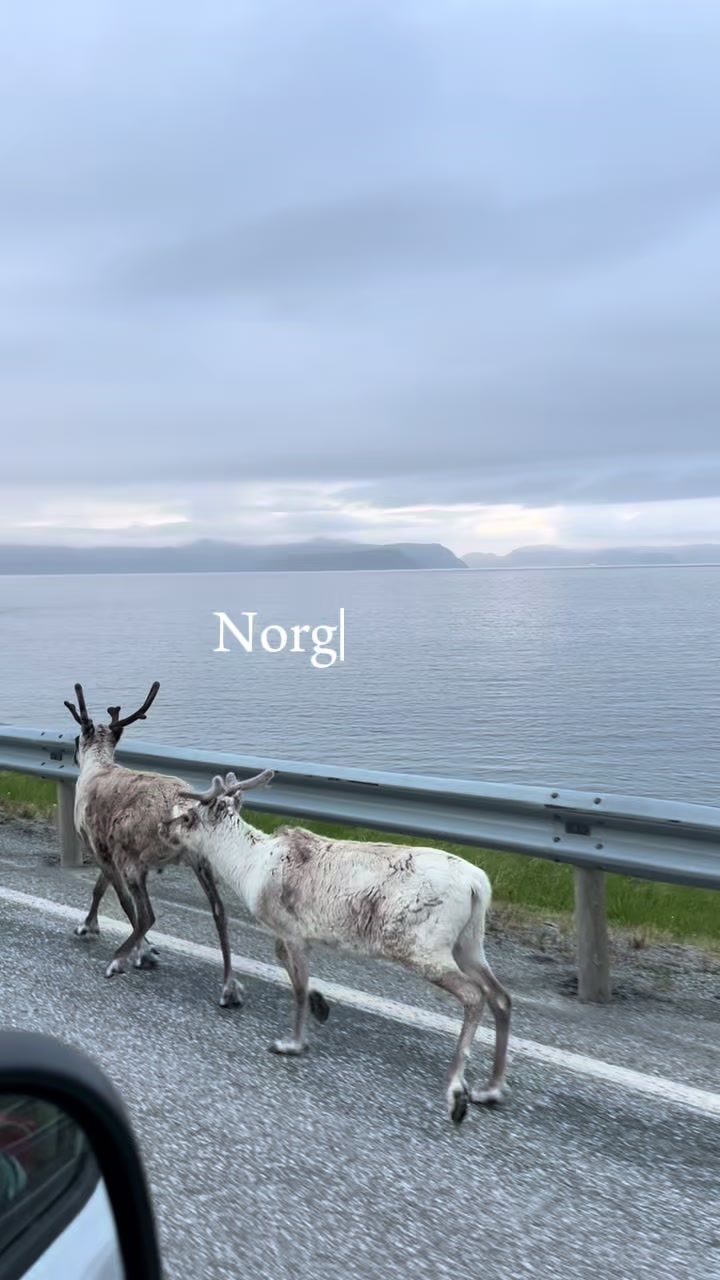 @Malte Flensén