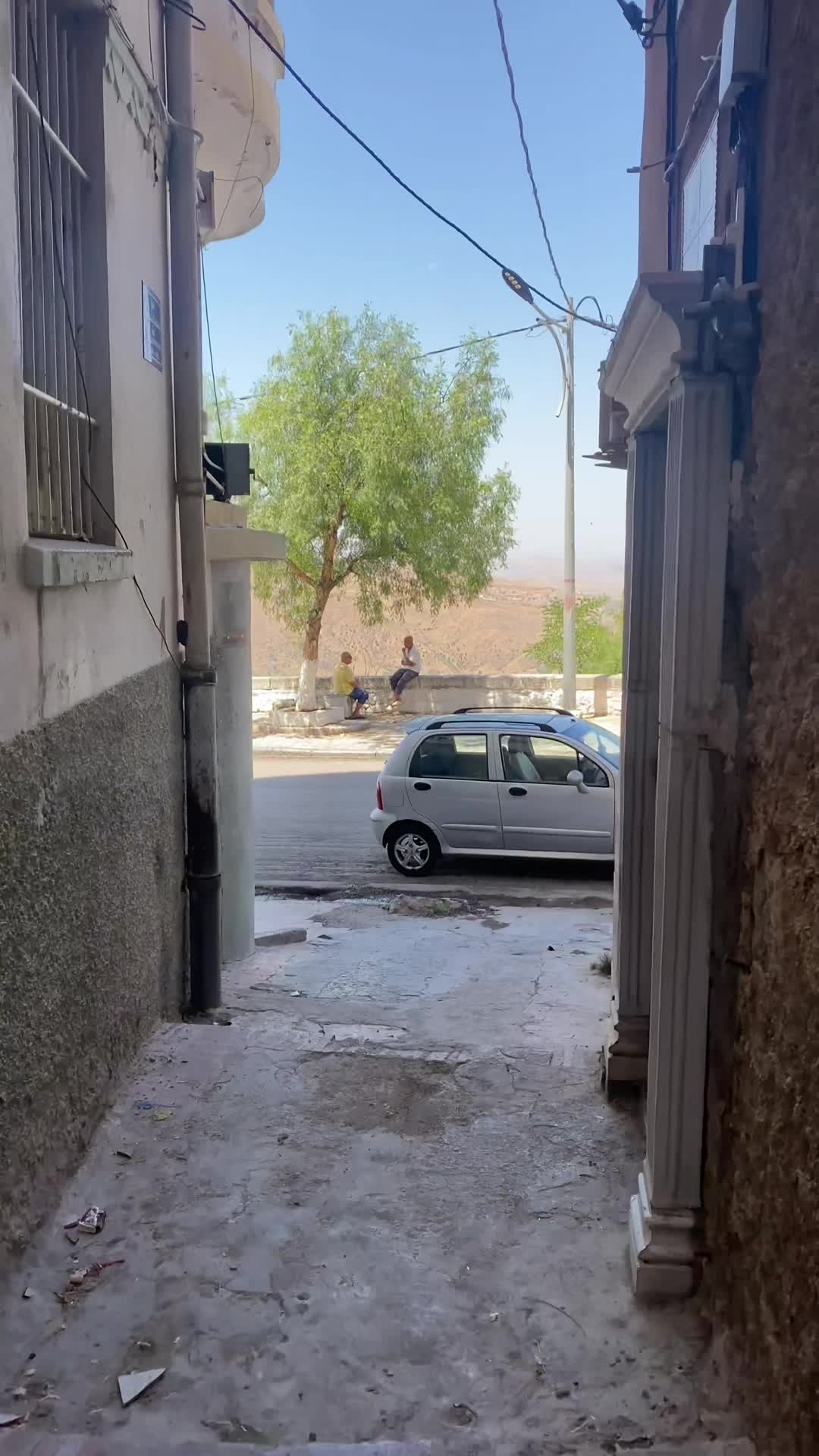 @alphamatics1