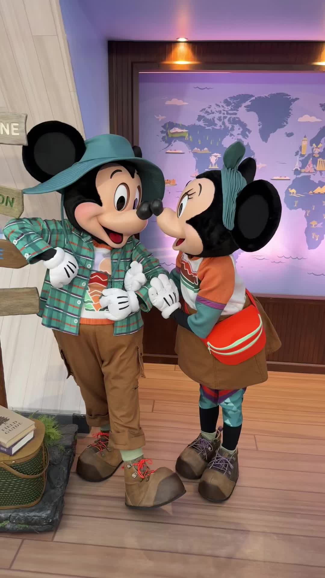 @Disney Dreamer