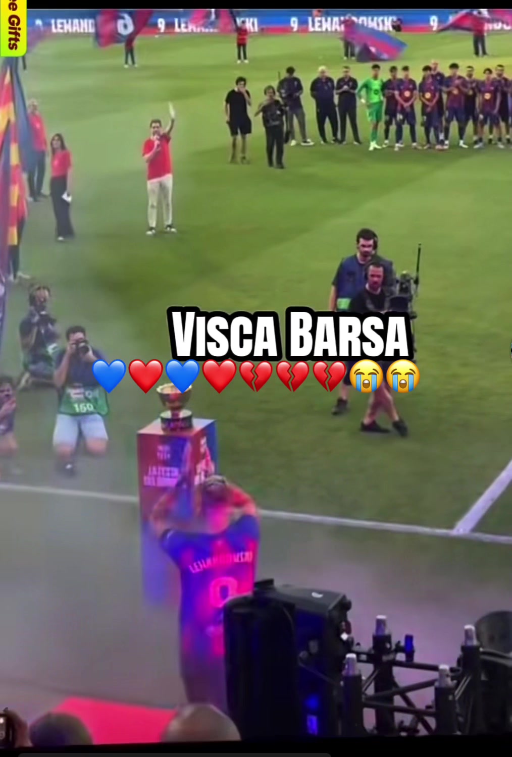 @perezhernandez485