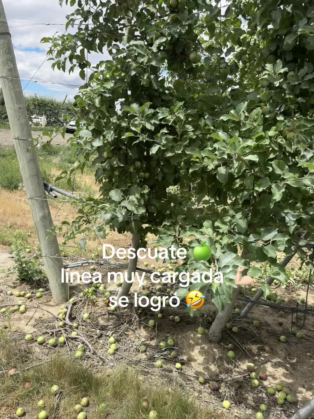 @🦋💕La Mayra💕🦋