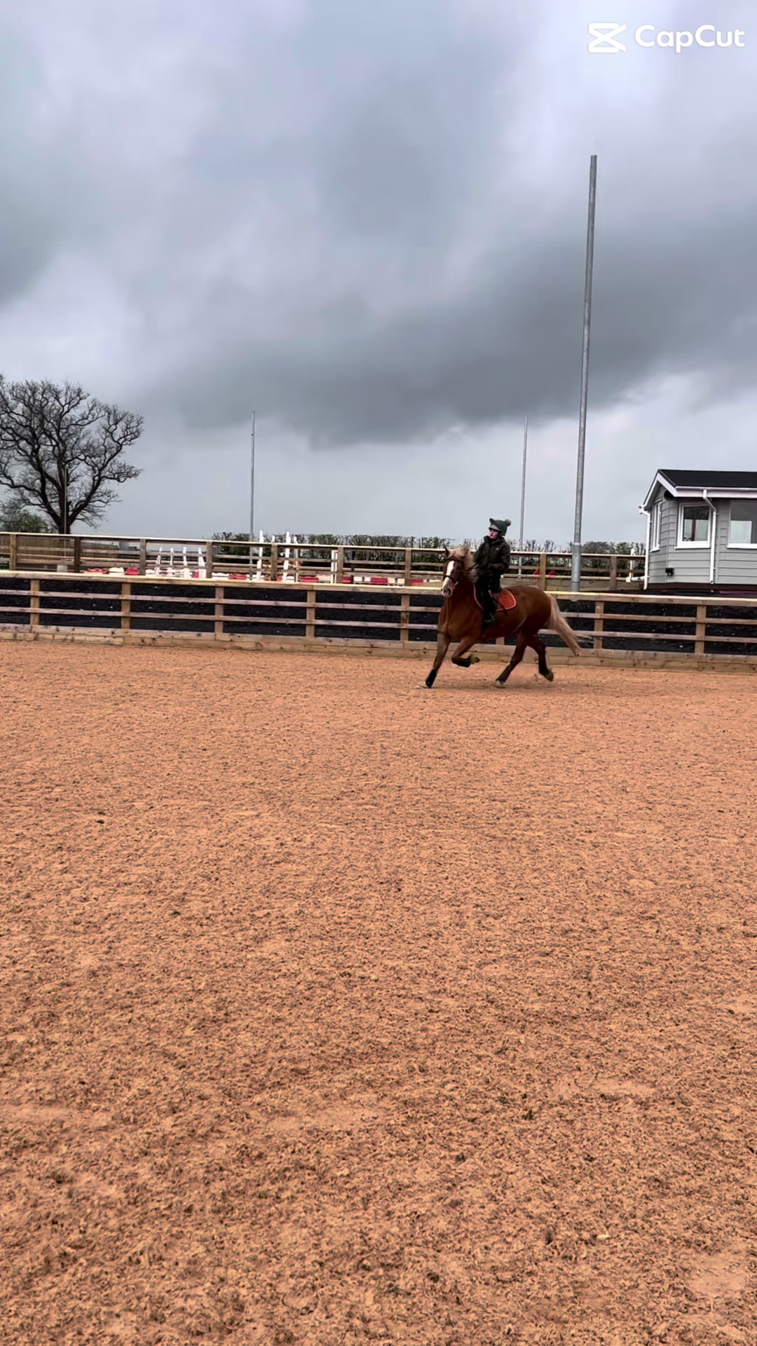 @Ellie 🐴🏎️