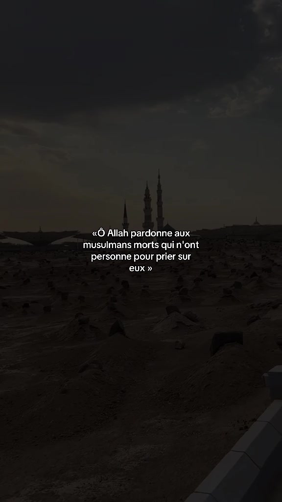 @rappel.islam