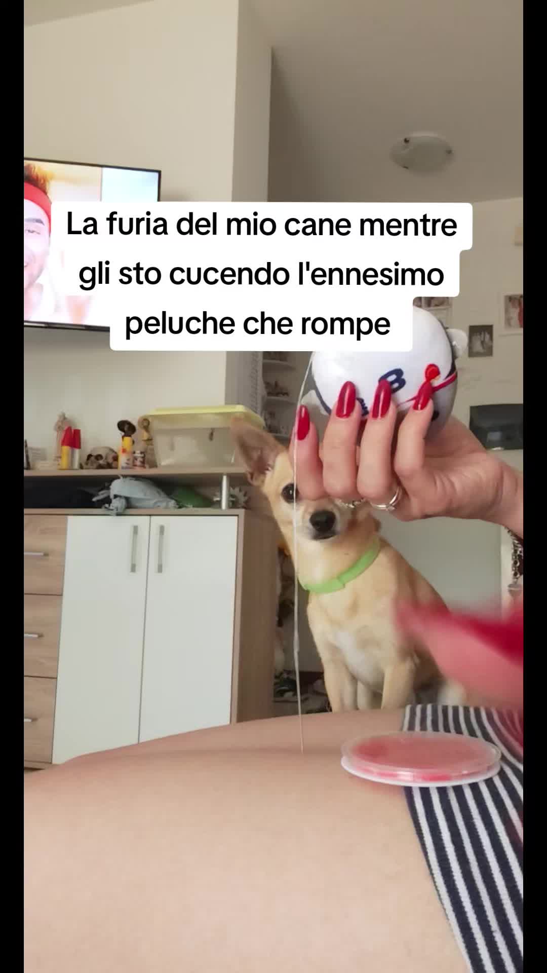 @Angela Orbetti🧿