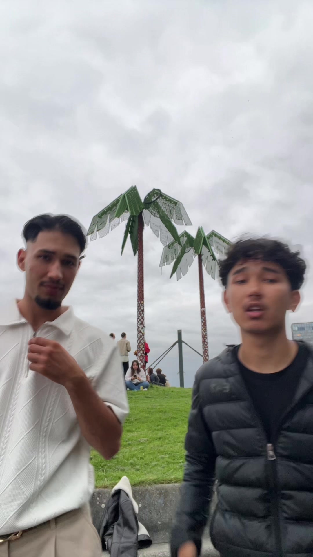 @Mashif.