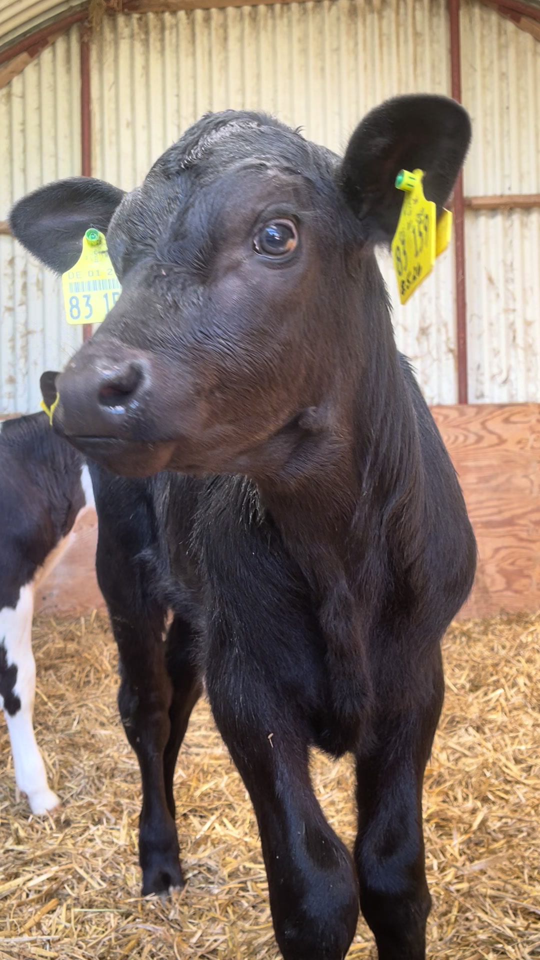 @farmgirl