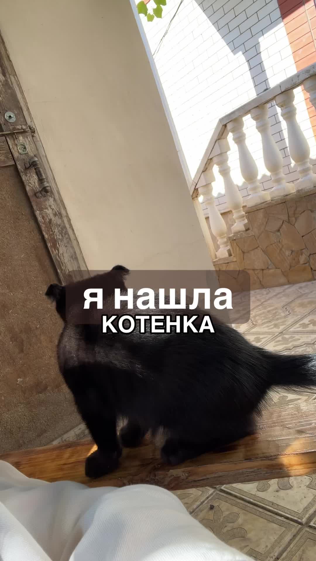 @тгк:кристаса