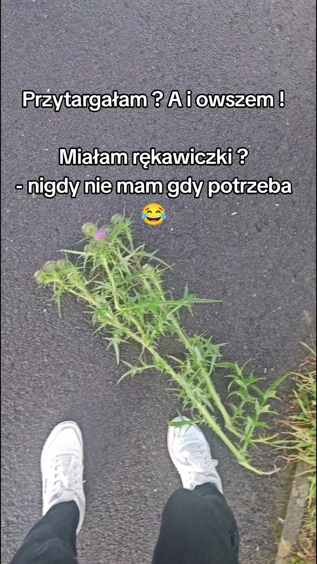 @Kempi Dökkàlfar